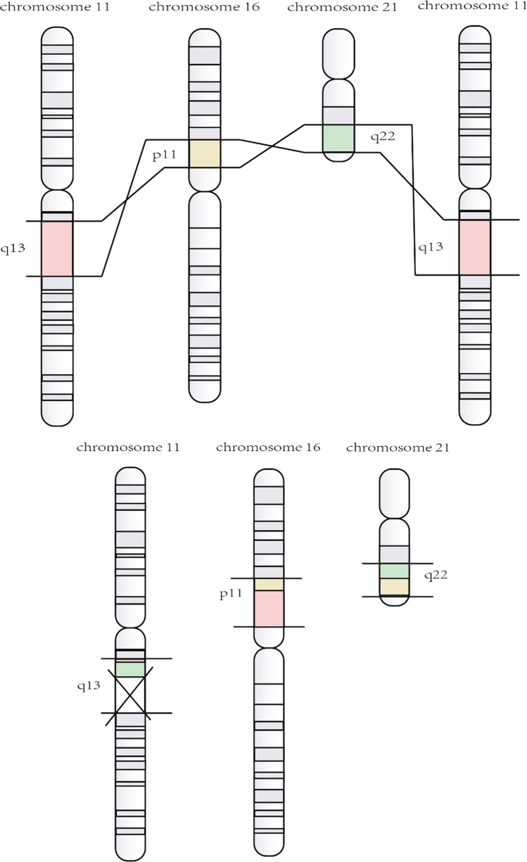 Fig. 6