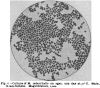Figure 11: