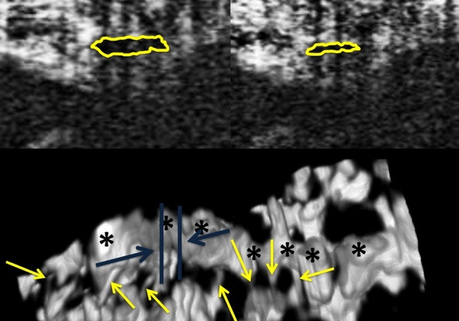 Figure 5