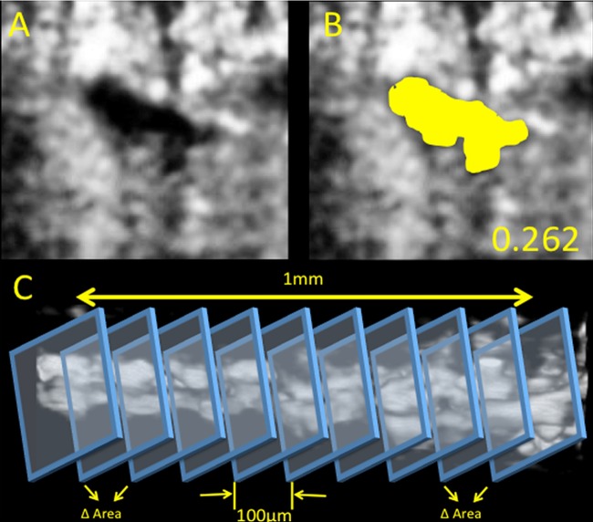 Figure 1