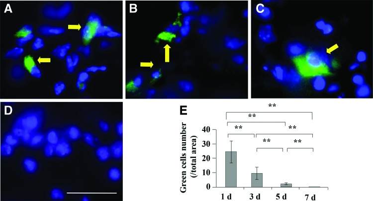 FIG. 7.