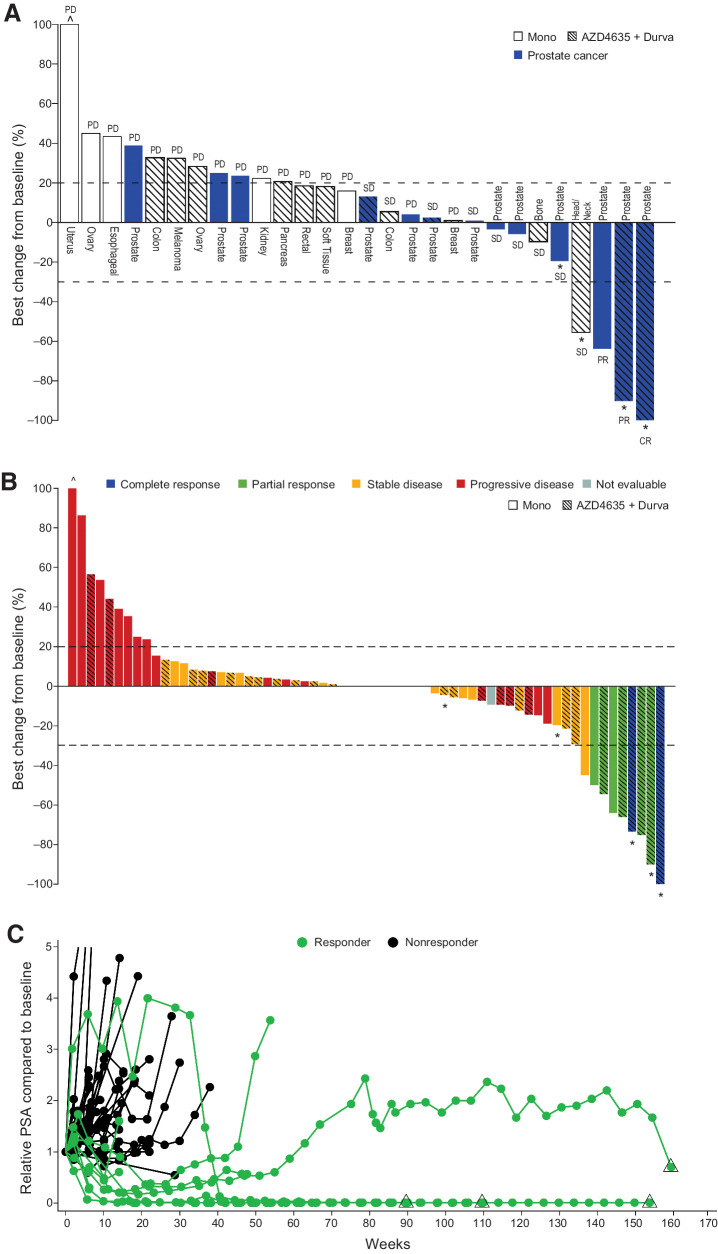 Figure 2. A–C, Best percentage change from baseline in phase Ia patients with measurable disease at baseline (A); best percentage change from baseline in patients with mCRPC and measurable disease at baseline (B); and PSA responses relative to baseline over time in patients with IO-naïve mCRPC treated with AZD4635 + durvalumab (C). Durva, durvalumab; IO, immunotherapy; Mono, AZD4635 monotherapy; RECIST v1.1, Response Evaluation Criteria In Solid Tumors. Best objective response was based on the investigator-assessed RECIST v1.1 response at each tumor assessment. Target lesion sum of diameters are scaled up if ≤1/3 of measurements are missing. If >1/3 of measurements are missing, then the percentage change is not calculated. * and Δ indicate that the patient is still on treatment. ɅPercentage change from baseline in tumor lesion size exceeds + 100%; waterfall plot was truncated for the patient at this point. PSA response is defined as ≥50% reduction from baseline. Spider plot is truncated for some patients where PSA relative to baseline exceeds 5.