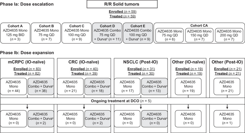 Figure 1. Patient flow diagram. aDurvalumab was administered at 1,500 mg, once every 4 weeks. Combo, combination therapy; DCO, data cutoff; Durva, durvalumab; IO, immunotherapy; Mono, monotherapy; n, number; QD, once per day; Q4W, once every 4 weeks. Patient numbers are based on actual treatment received.