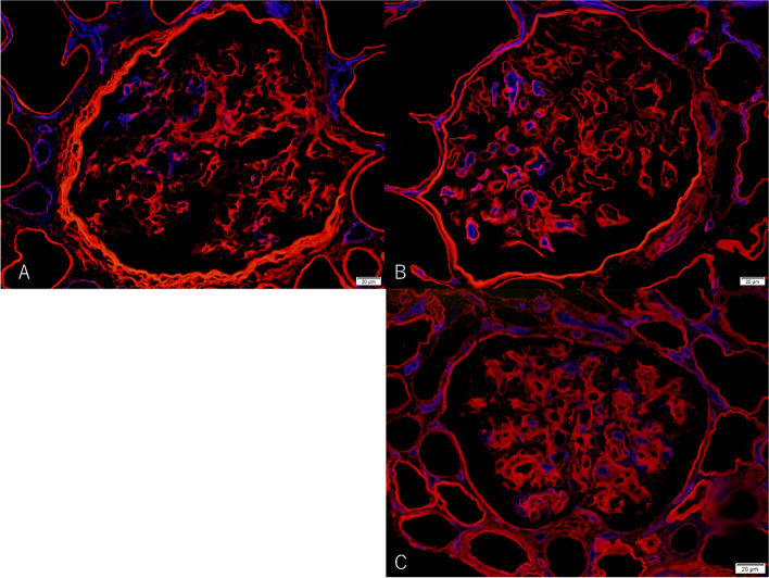 Figure3