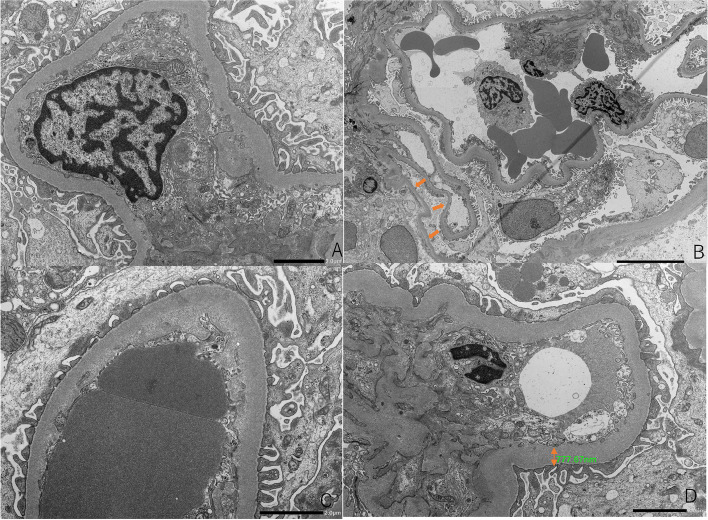 Fig. 2