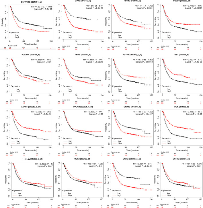 Figure 4