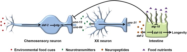 Fig 9