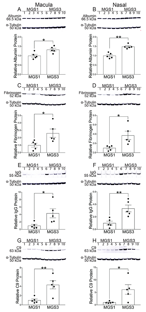 Fig. 2: