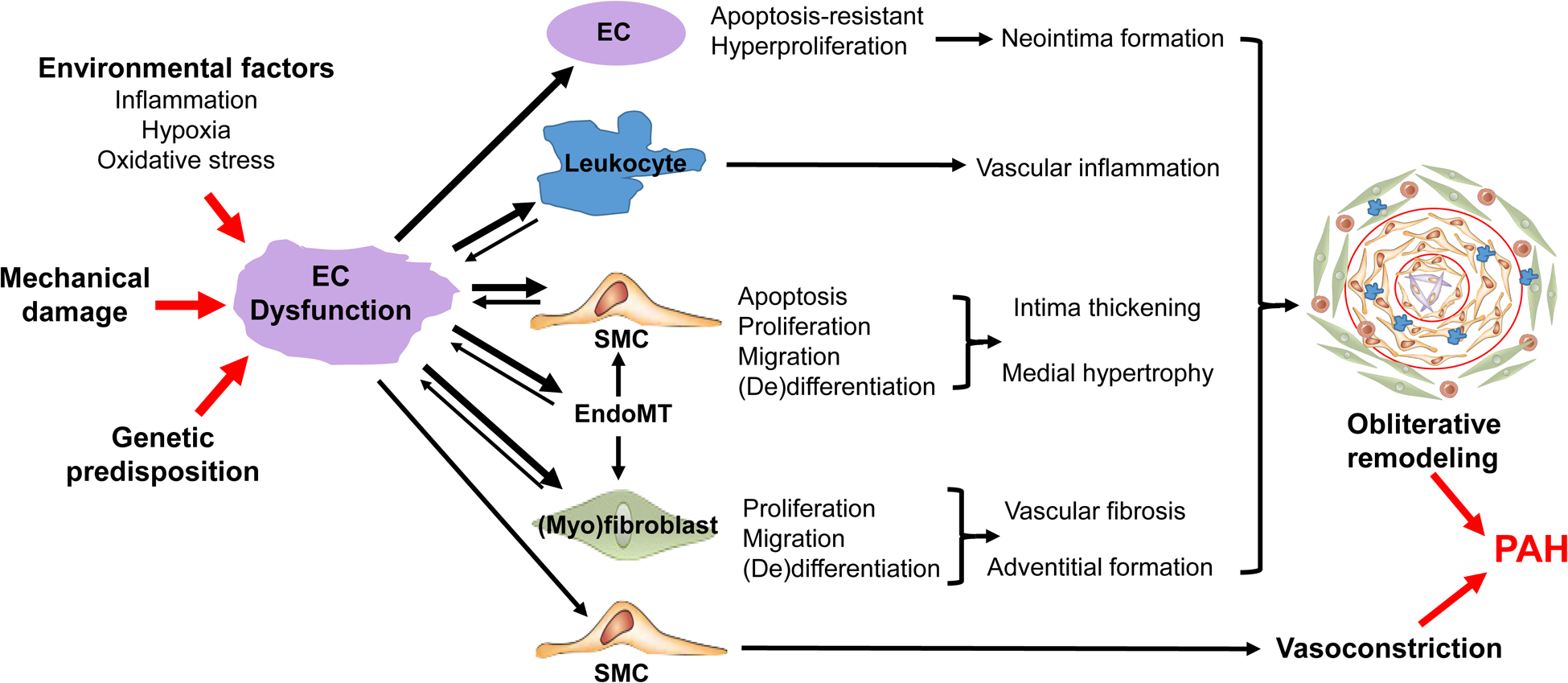 Figure 2: