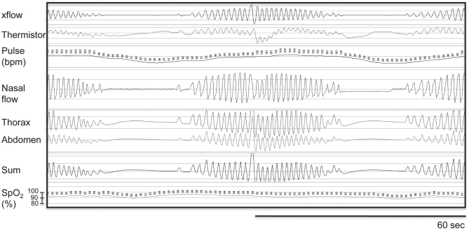 Figure 1)