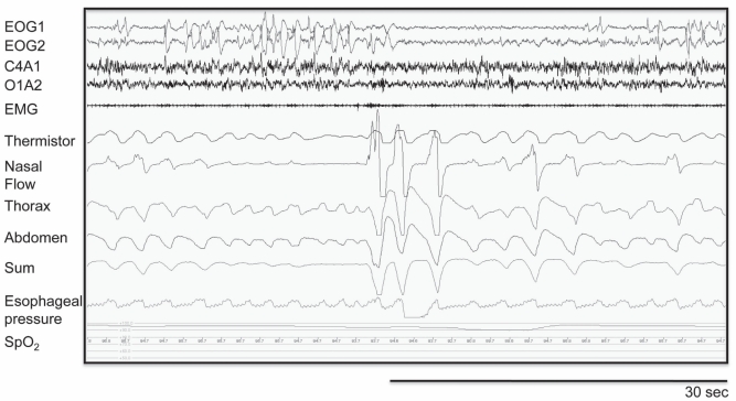 Figure 2)