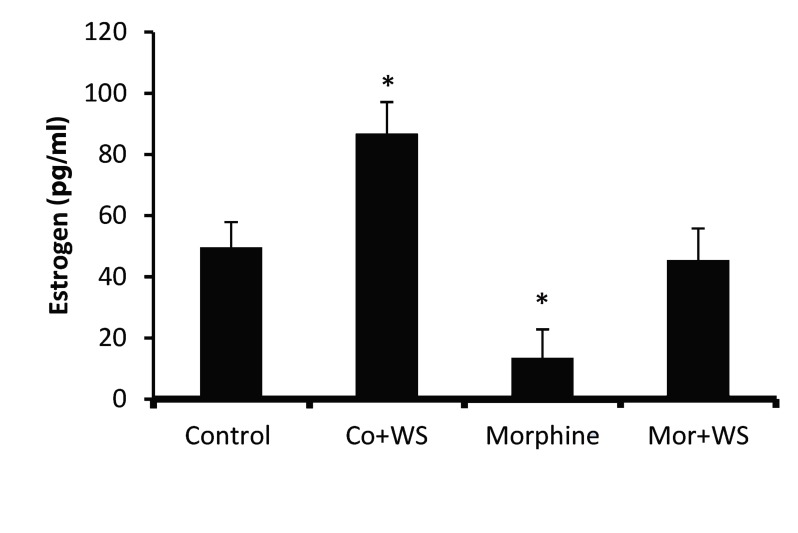Fig.1