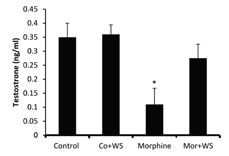 Fig.3