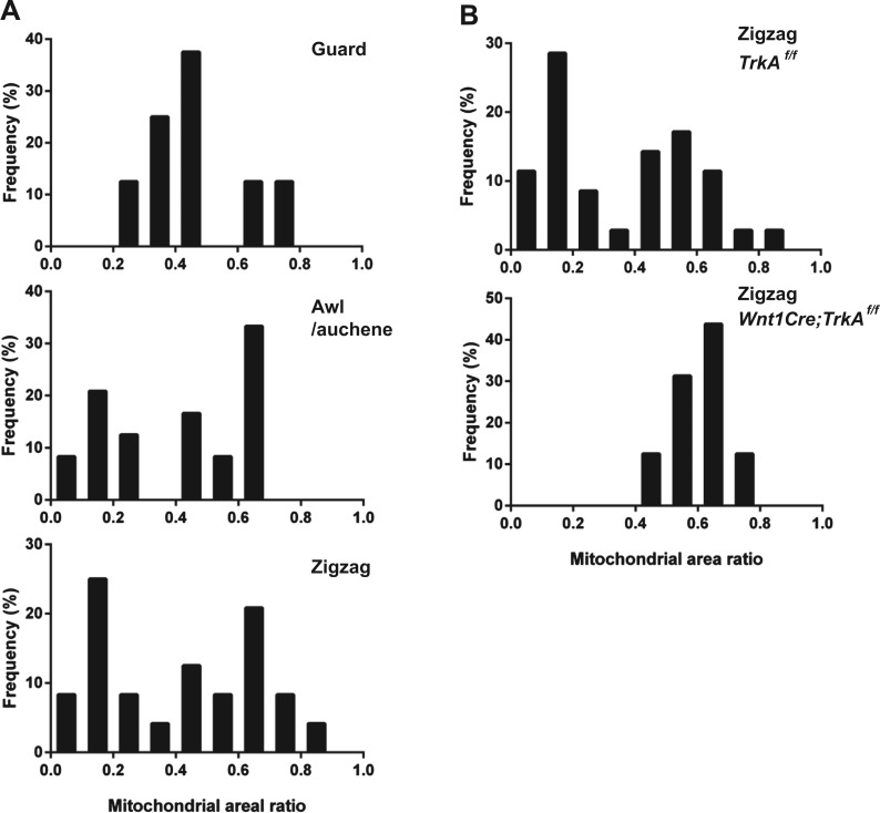 Figure 6—figure supplement 2.