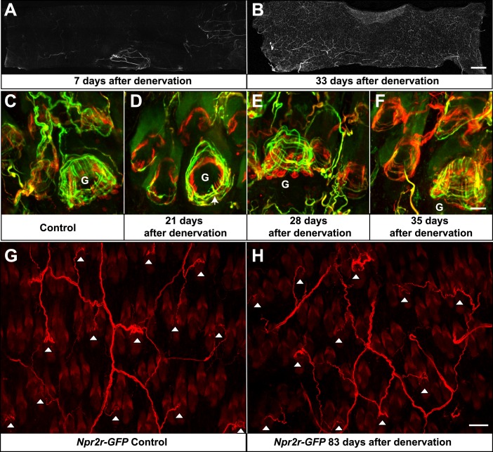 Figure 10.