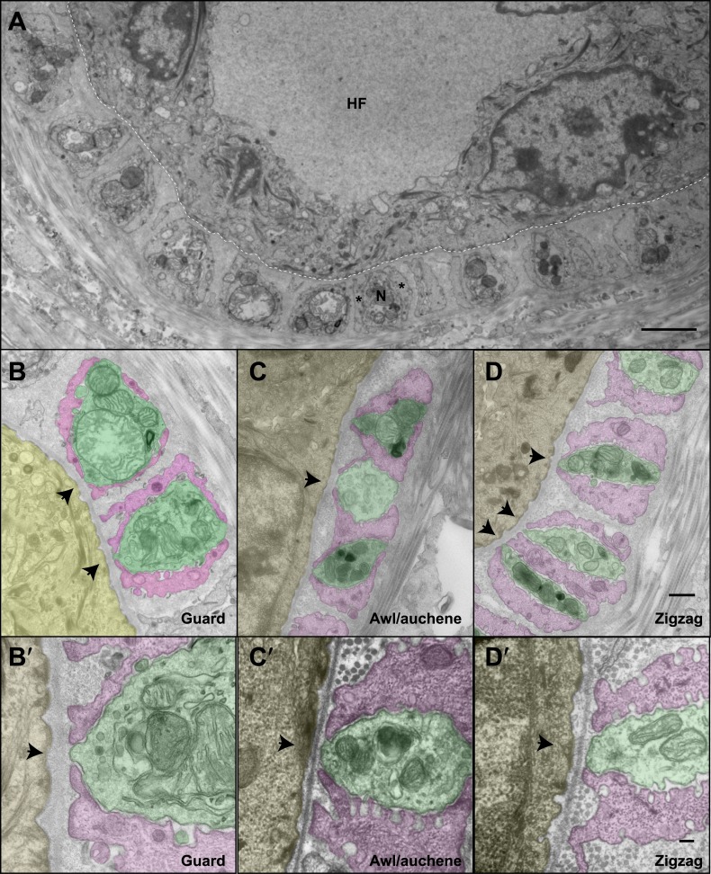 Figure 4.