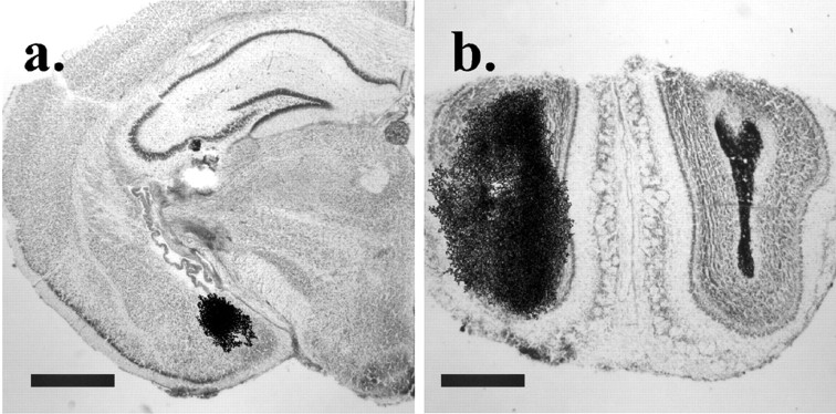 Fig. 8.