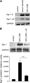 <b>Figure 3.</b>