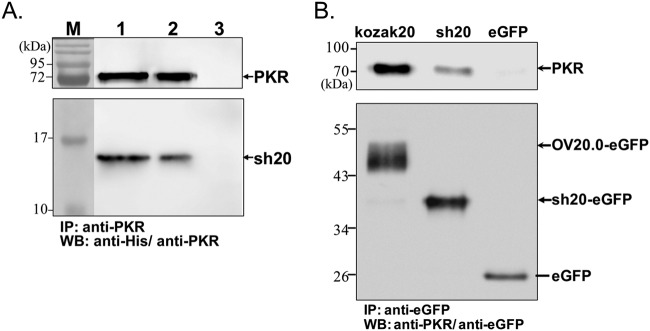 FIG 5