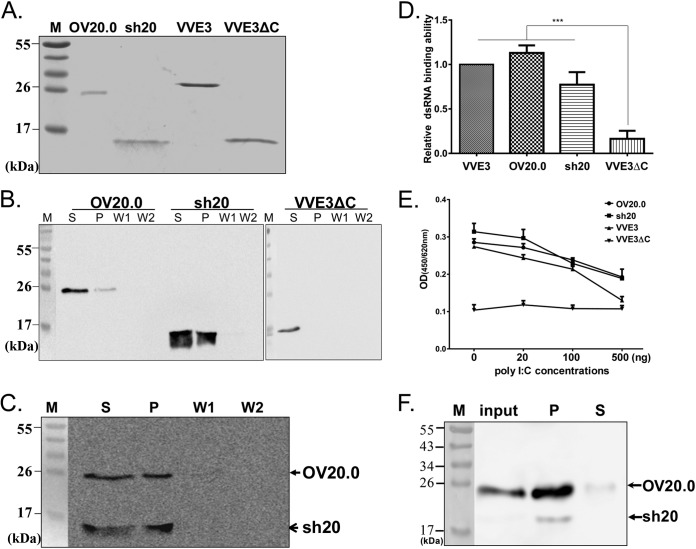 FIG 3