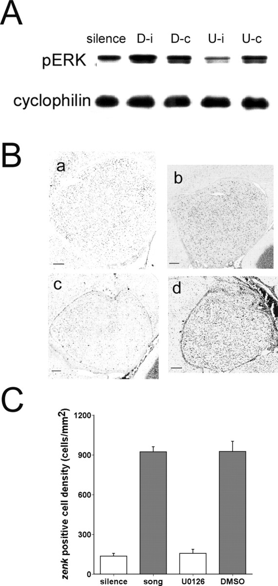 
Figure 10.
