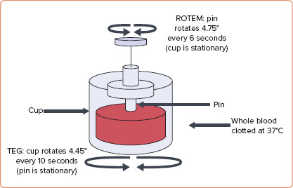 Figure 1: