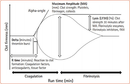 Figure 2: