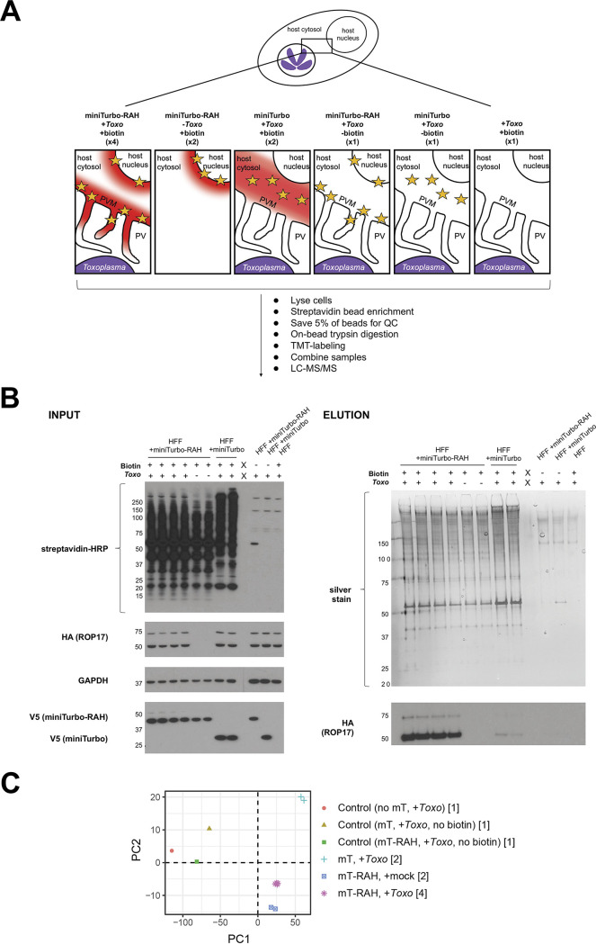 FIG 4