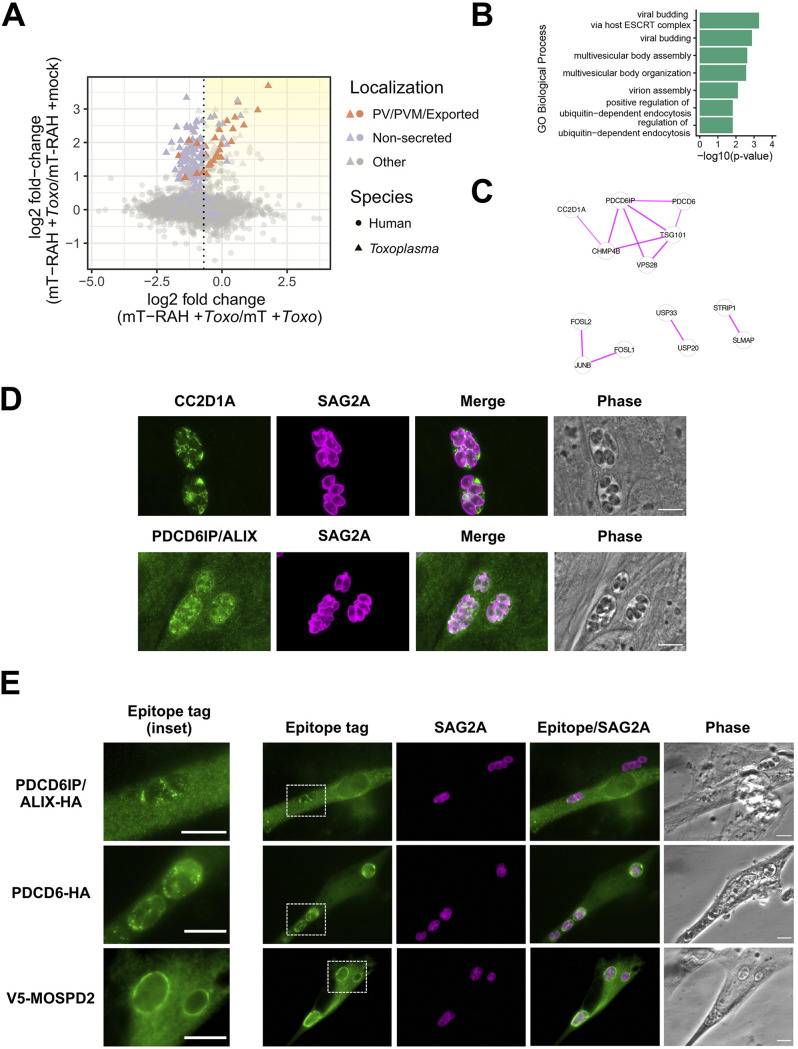 FIG 6