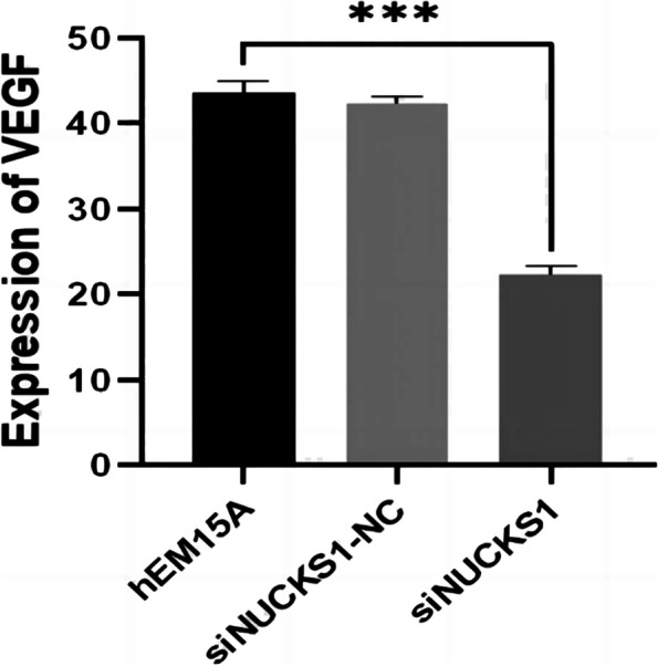 Fig. 13