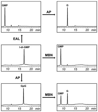 FIG. 5.