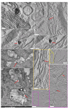 Figure 8