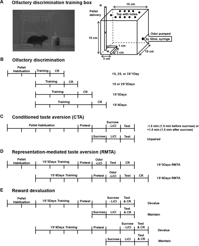 Fig 1