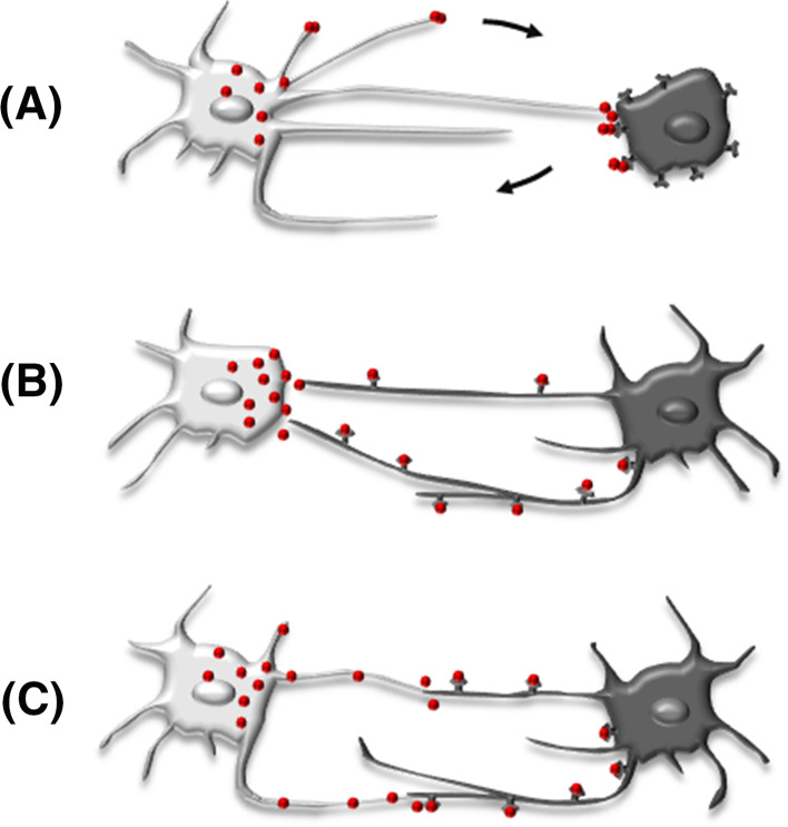 Fig. 1