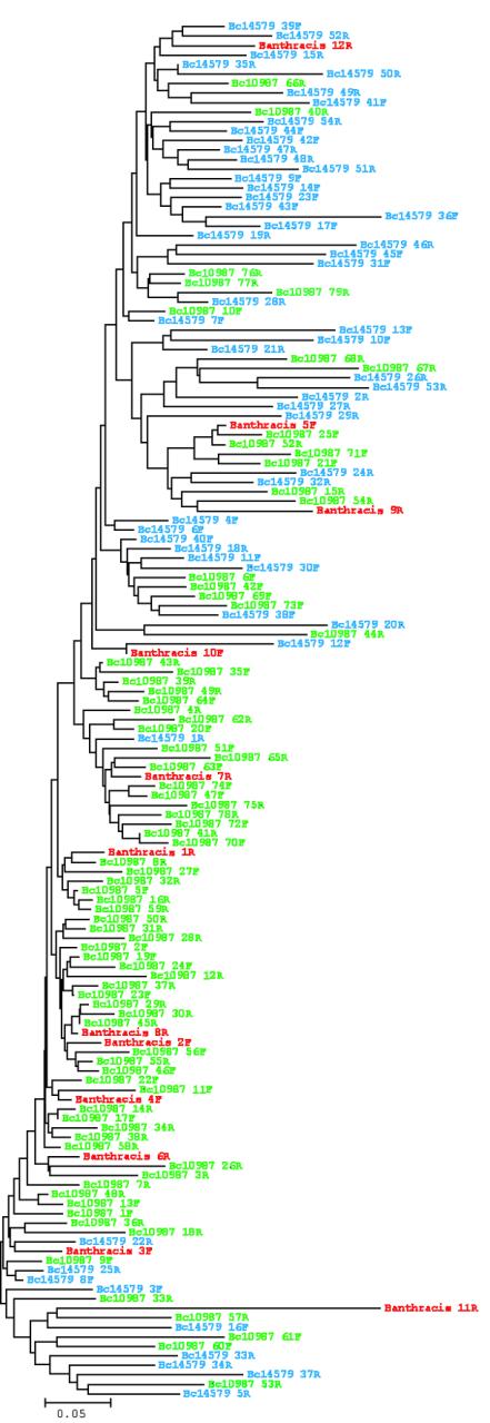 FIG. 5.