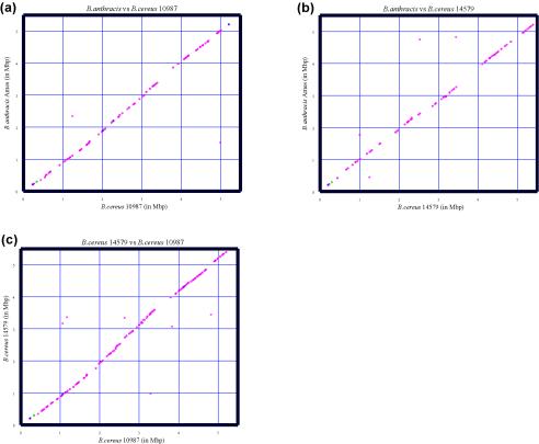 FIG. 7.