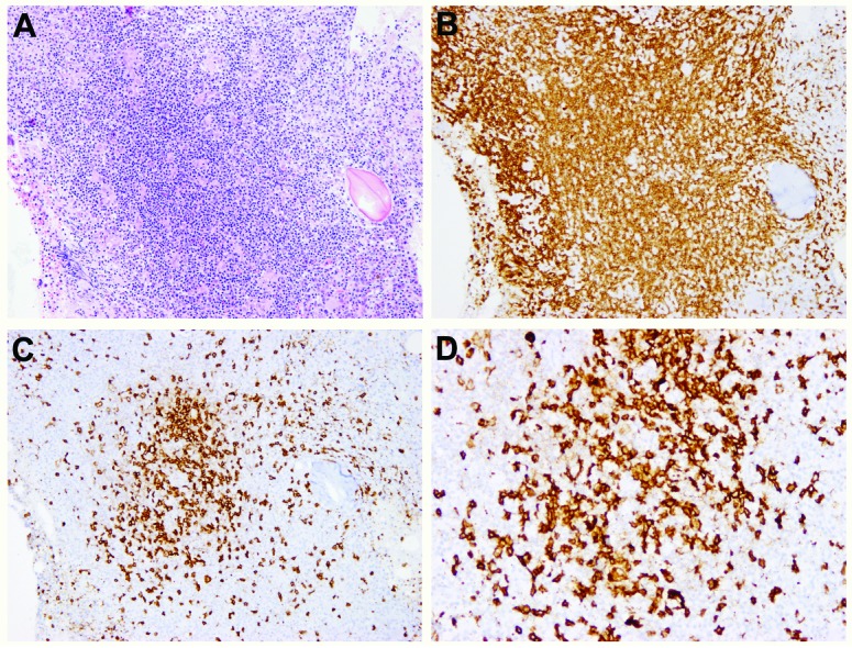 Figure 2.