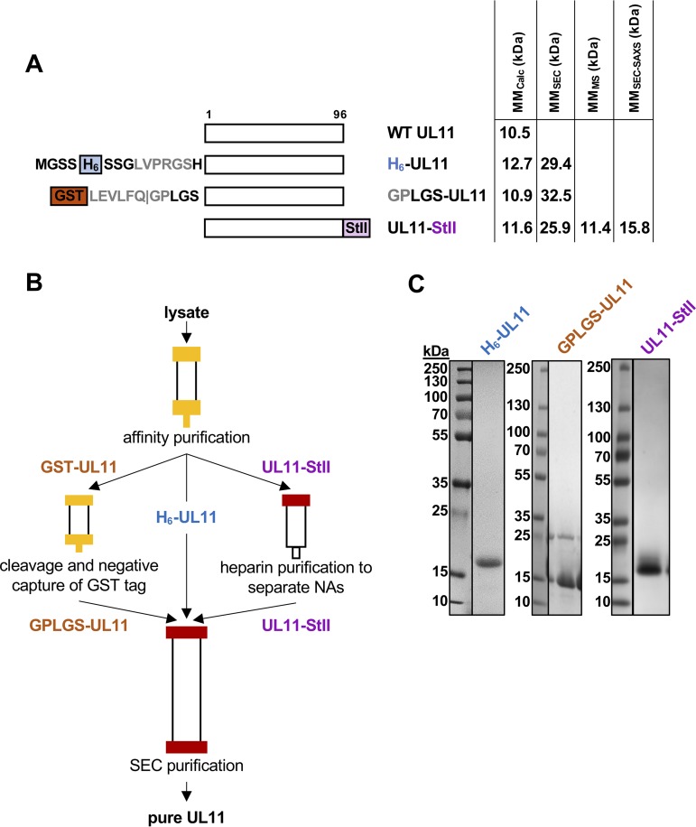 FIG 2