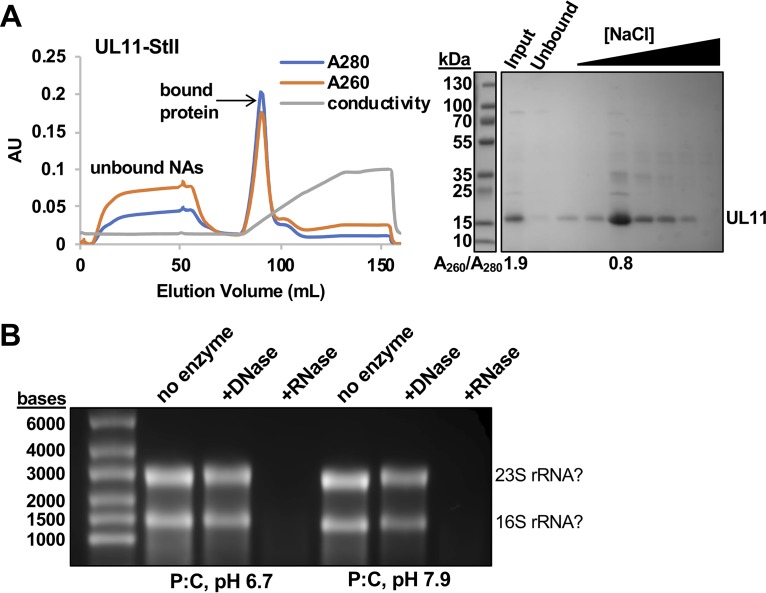 FIG 3