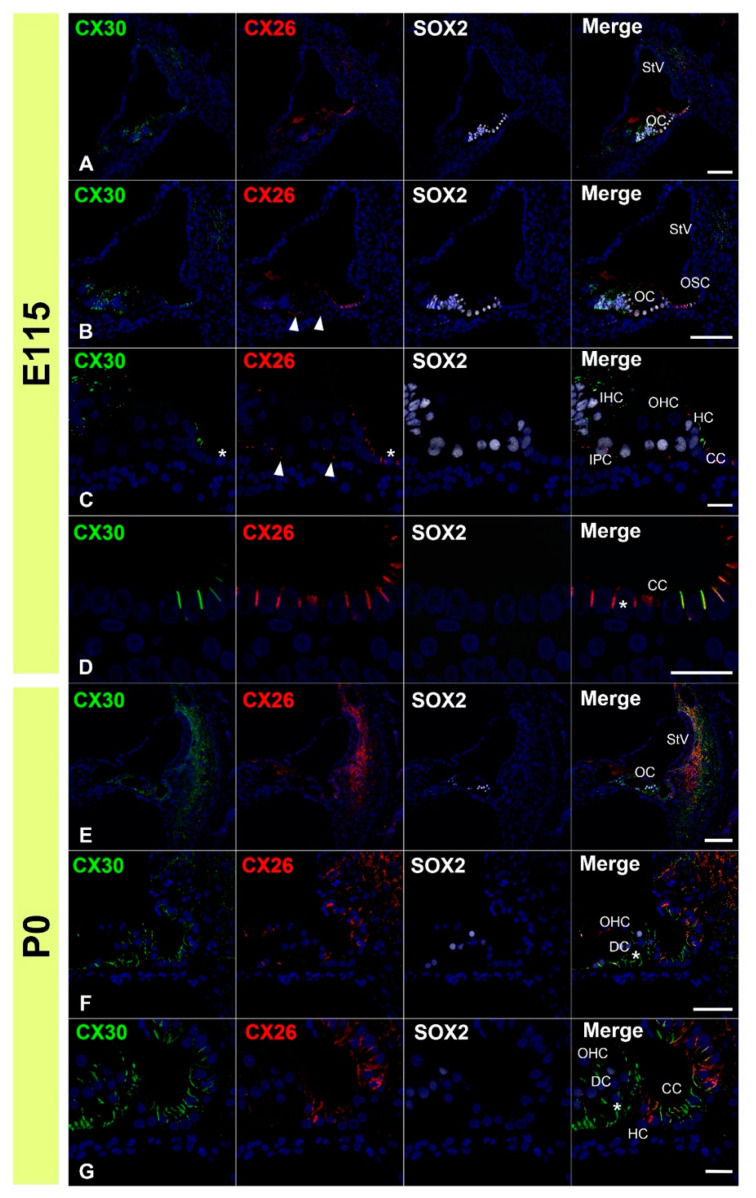 Figure 6