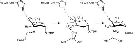 Scheme 3