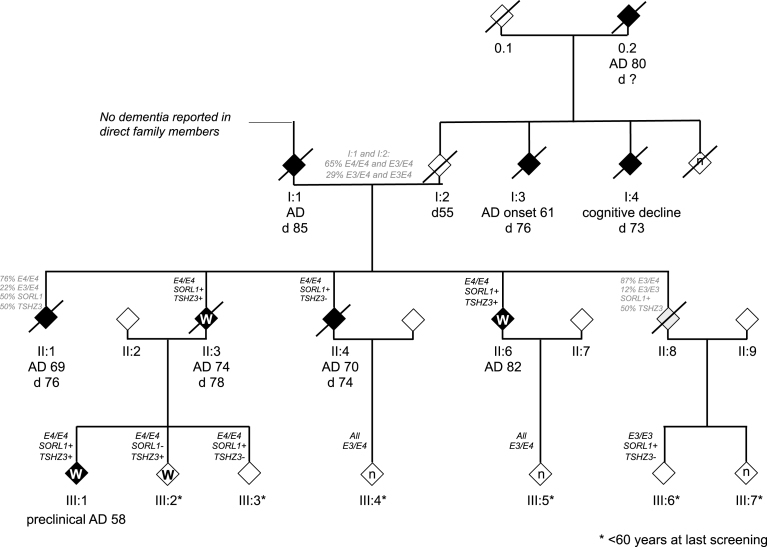 Fig.1