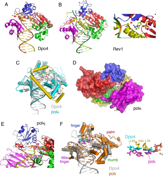 Fig. 3.