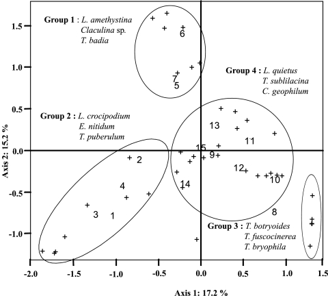 FIG. 5.