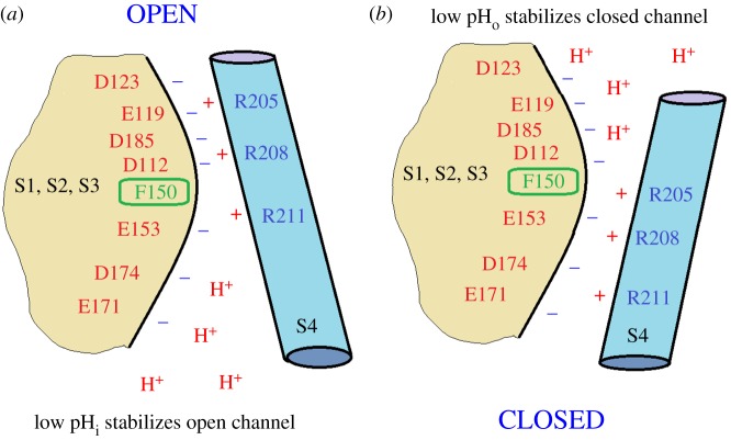 Figure 6.