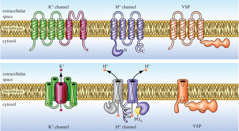 Figure 1.