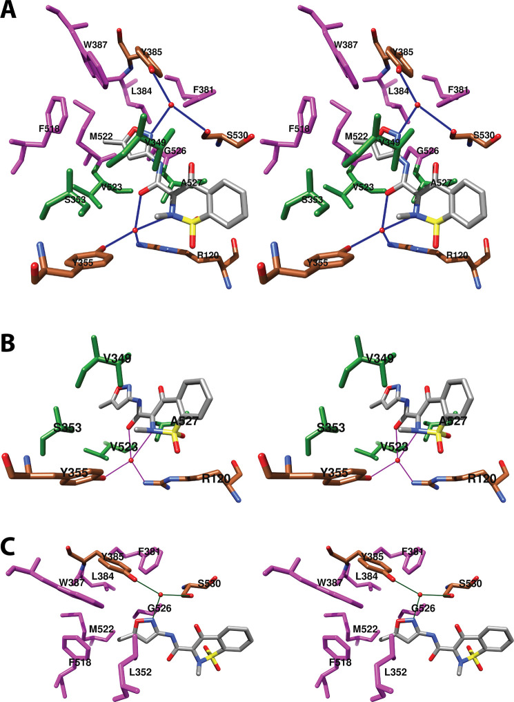 Figure 20