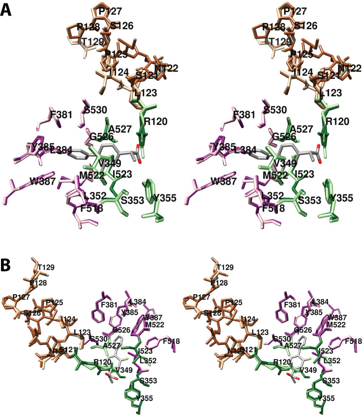 Figure 24