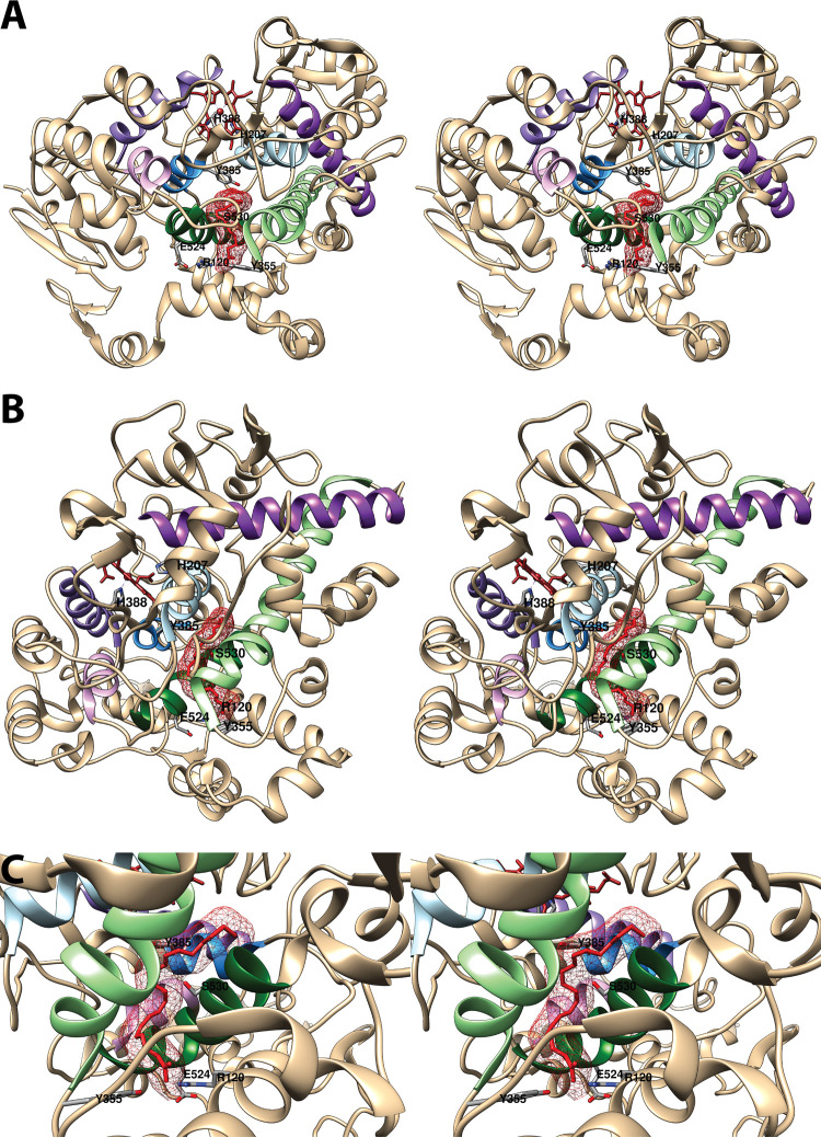 Figure 4