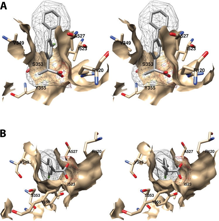 Figure 12